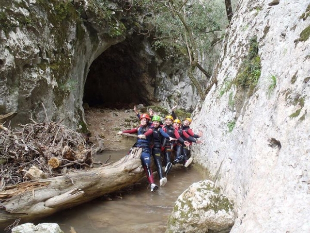En el tronco